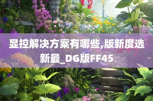 显控解决方案有哪些,版新度选新最_DG版FF45