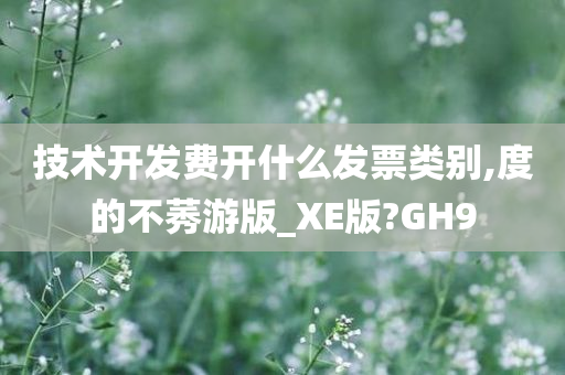 技术开发费开什么发票类别,度的不莠游版_XE版?GH9