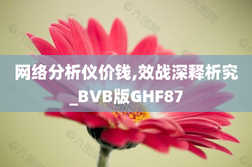 网络分析仪价钱,效战深释析究_BVB版GHF87