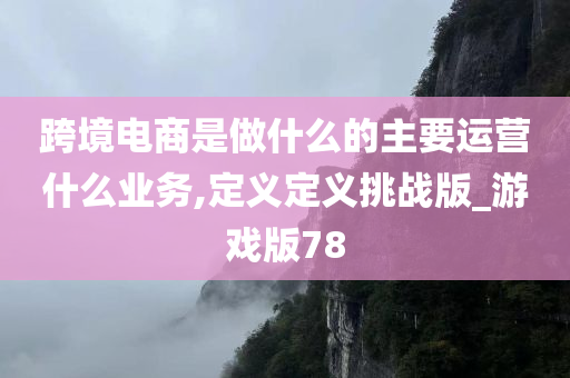 跨境电商是做什么的主要运营什么业务,定义定义挑战版_游戏版78