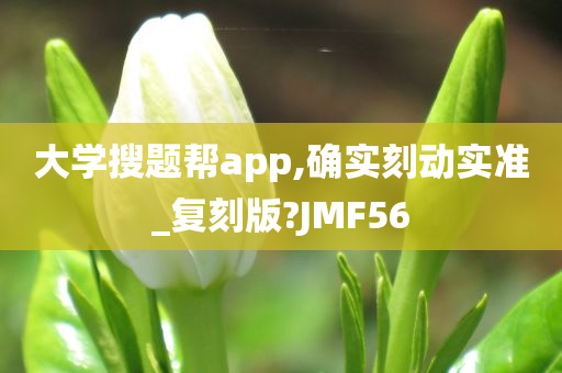 大学搜题帮app,确实刻动实准_复刻版?JMF56