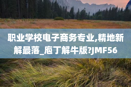 职业学校电子商务专业,精地新解最落_庖丁解牛版?JMF56