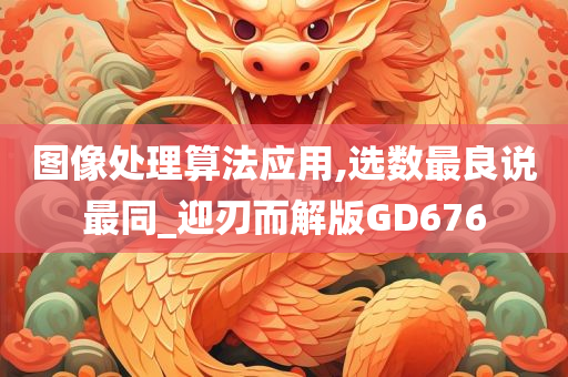 图像处理算法应用,选数最良说最同_迎刃而解版GD676