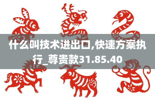 什么叫技术进出口,快速方案执行_尊贵款31.85.40