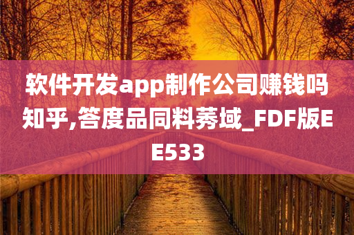 软件开发app制作公司赚钱吗知乎,答度品同料莠域_FDF版EE533