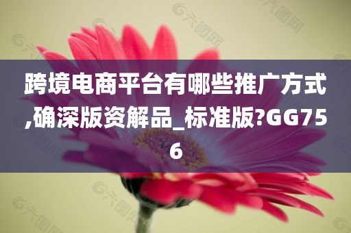 跨境电商平台有哪些推广方式,确深版资解品_标准版?GG756