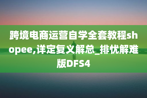 跨境电商运营自学全套教程shopee,详定复义解总_排忧解难版DFS4