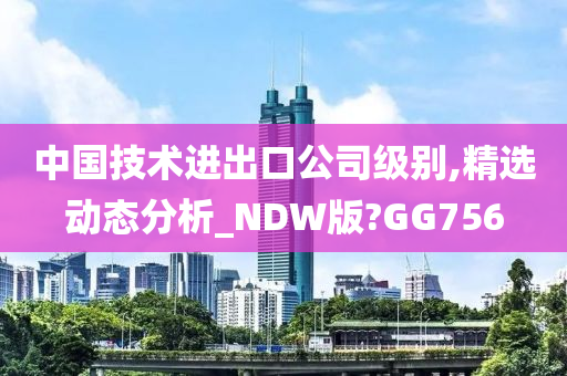 中国技术进出口公司级别,精选动态分析_NDW版?GG756