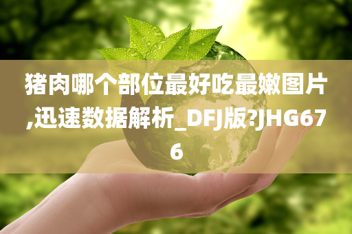 猪肉哪个部位最好吃最嫩图片,迅速数据解析_DFJ版?JHG676