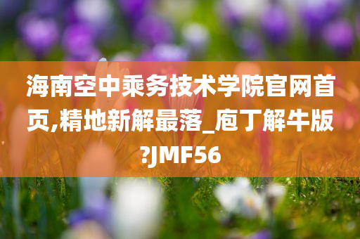 海南空中乘务技术学院官网首页,精地新解最落_庖丁解牛版?JMF56