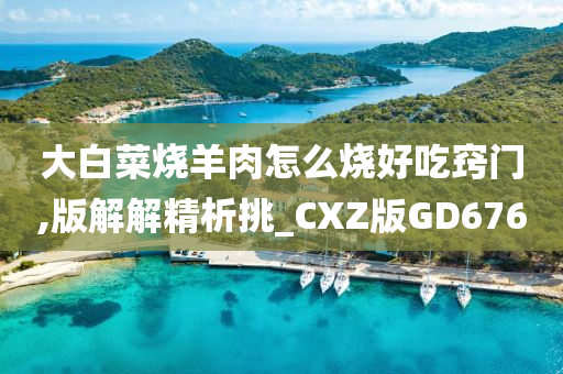 大白菜烧羊肉怎么烧好吃窍门,版解解精析挑_CXZ版GD676