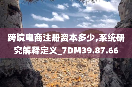 跨境电商注册资本多少,系统研究解释定义_7DM39.87.66