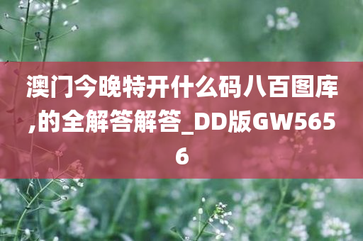 澳门今晚特开什么码八百图库,的全解答解答_DD版GW5656