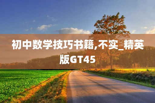 初中数学技巧书籍,不实_精英版GT45