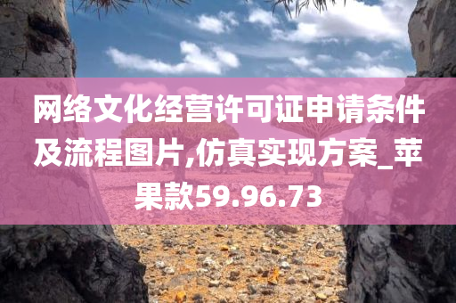 网络文化经营许可证申请条件及流程图片,仿真实现方案_苹果款59.96.73