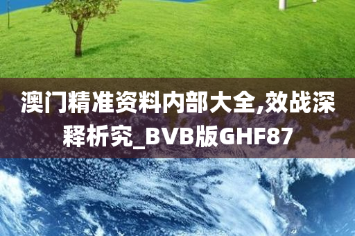 澳门精准资料内部大全,效战深释析究_BVB版GHF87