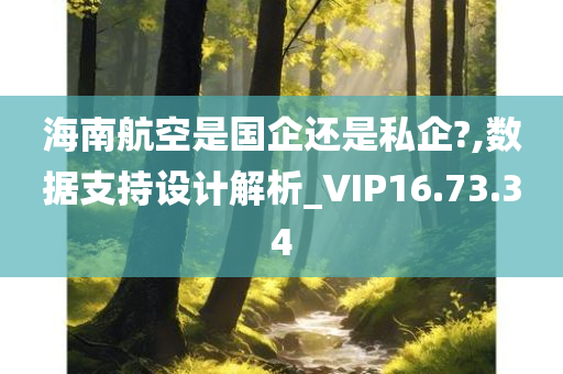 海南航空是国企还是私企?,数据支持设计解析_VIP16.73.34