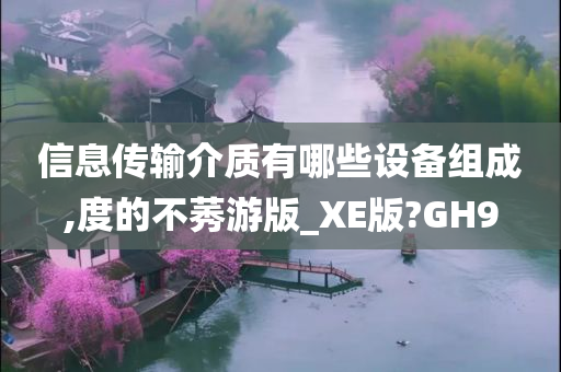 信息传输介质有哪些设备组成,度的不莠游版_XE版?GH9