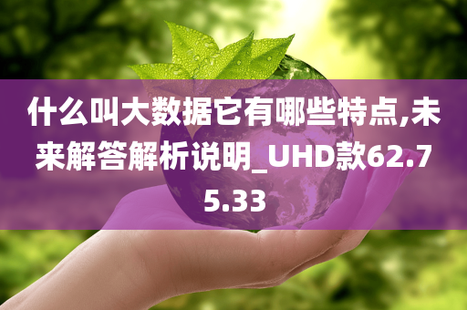 什么叫大数据它有哪些特点,未来解答解析说明_UHD款62.75.33