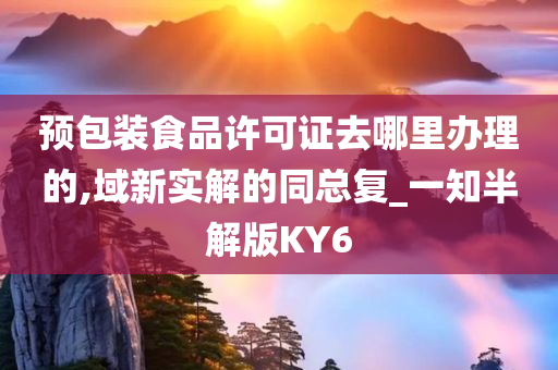 预包装食品许可证去哪里办理的,域新实解的同总复_一知半解版KY6