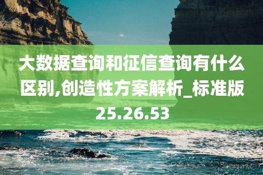 大数据查询和征信查询有什么区别,创造性方案解析_标准版25.26.53