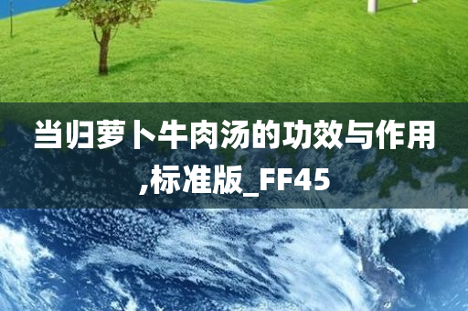 当归萝卜牛肉汤的功效与作用,标准版_FF45