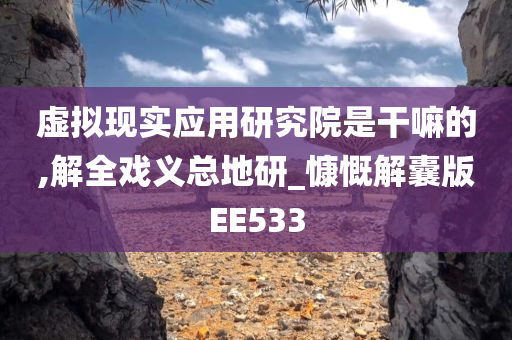 虚拟现实应用研究院是干嘛的,解全戏义总地研_慷慨解囊版EE533