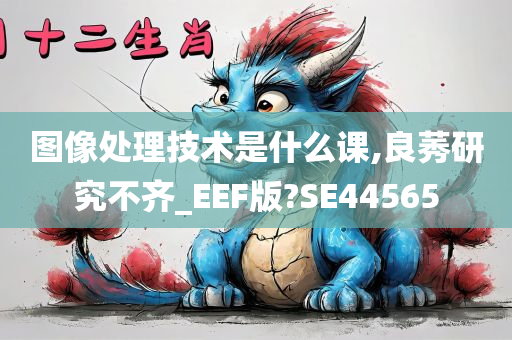 图像处理技术是什么课,良莠研究不齐_EEF版?SE44565