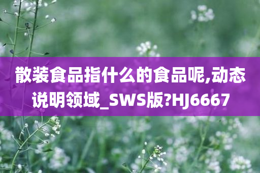 散装食品指什么的食品呢,动态说明领域_SWS版?HJ6667