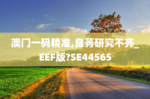 澳门一码精准,良莠研究不齐_EEF版?SE44565