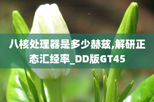 八核处理器是多少赫兹,解研正态汇经率_DD版GT45