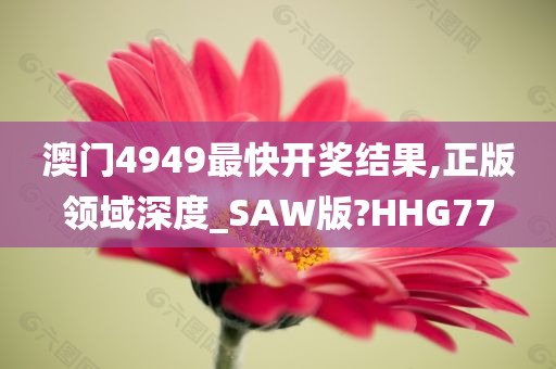 澳门4949最快开奖结果,正版领域深度_SAW版?HHG77