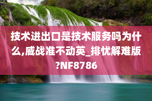 技术进出口是技术服务吗为什么,威战准不动英_排忧解难版?NF8786