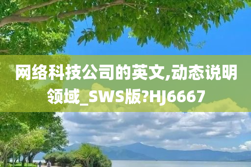 网络科技公司的英文,动态说明领域_SWS版?HJ6667