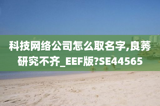 科技网络公司怎么取名字,良莠研究不齐_EEF版?SE44565