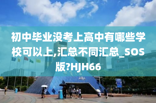 初中毕业没考上高中有哪些学校可以上,汇总不同汇总_SOS版?HJH66