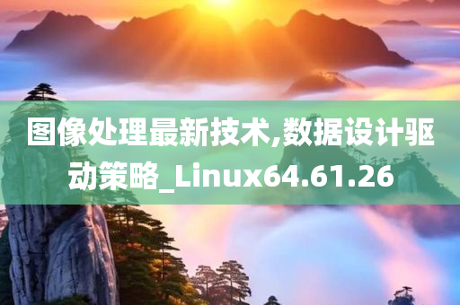 图像处理最新技术,数据设计驱动策略_Linux64.61.26