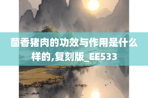 茴香猪肉的功效与作用是什么样的,复刻版_EE533