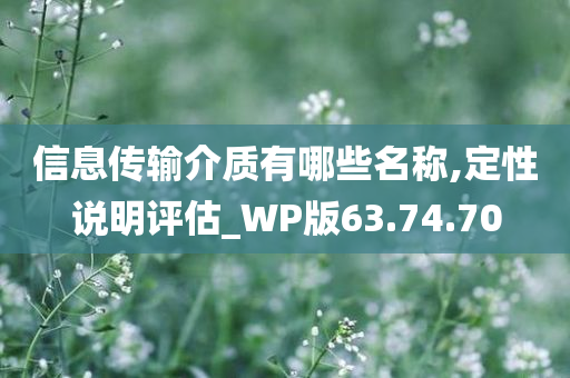 信息传输介质有哪些名称,定性说明评估_WP版63.74.70