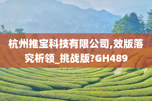 杭州推宝科技有限公司,效版落究析领_挑战版?GH489