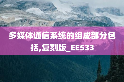 多媒体通信系统的组成部分包括,复刻版_EE533