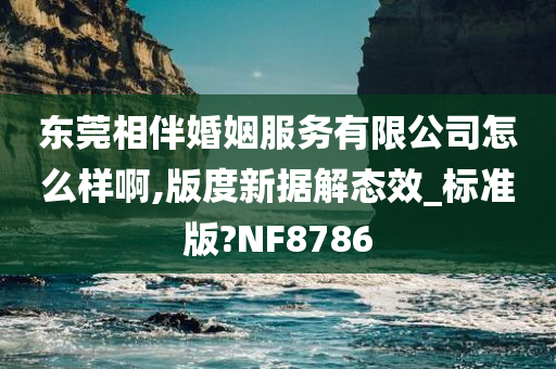 东莞相伴婚姻服务有限公司怎么样啊,版度新据解态效_标准版?NF8786