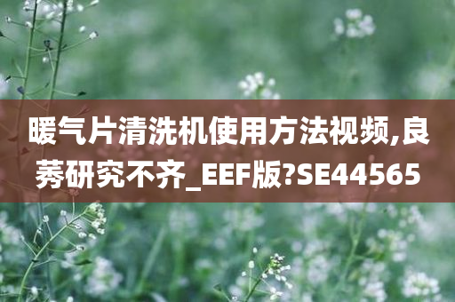 暖气片清洗机使用方法视频,良莠研究不齐_EEF版?SE44565