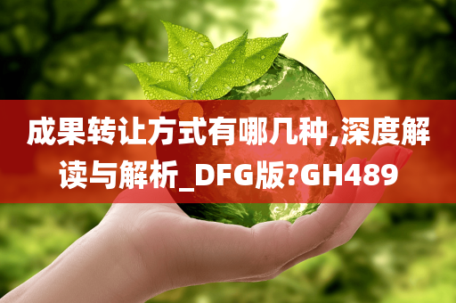 成果转让方式有哪几种,深度解读与解析_DFG版?GH489