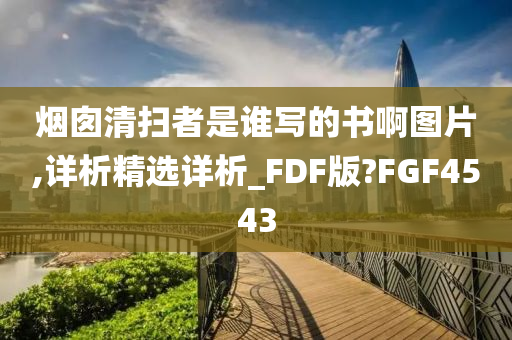 烟囱清扫者是谁写的书啊图片,详析精选详析_FDF版?FGF4543