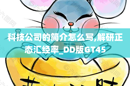 科技公司的简介怎么写,解研正态汇经率_DD版GT45