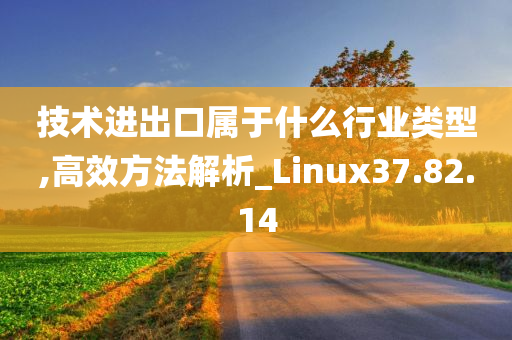 技术进出口属于什么行业类型,高效方法解析_Linux37.82.14