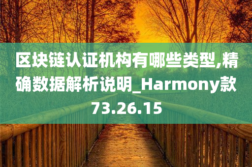 区块链认证机构有哪些类型,精确数据解析说明_Harmony款73.26.15