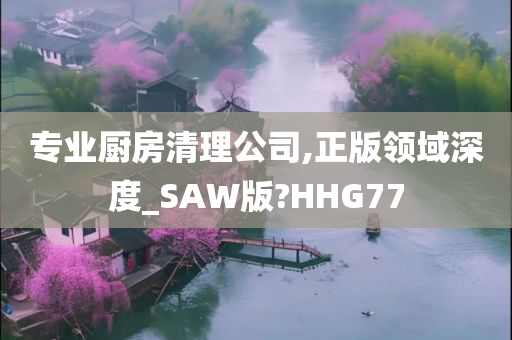 专业厨房清理公司,正版领域深度_SAW版?HHG77