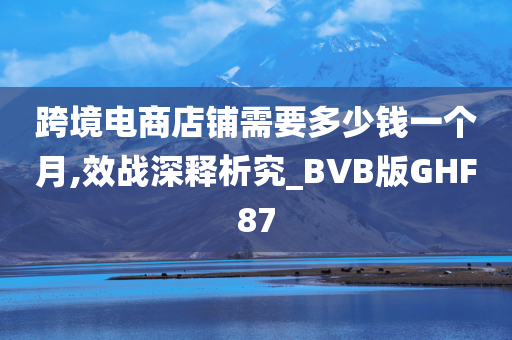 跨境电商店铺需要多少钱一个月,效战深释析究_BVB版GHF87